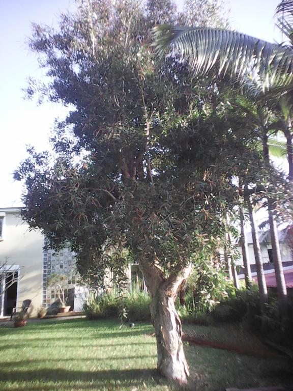Villa Niagara Avec Spa Sainte-Suzanne Buitenkant foto